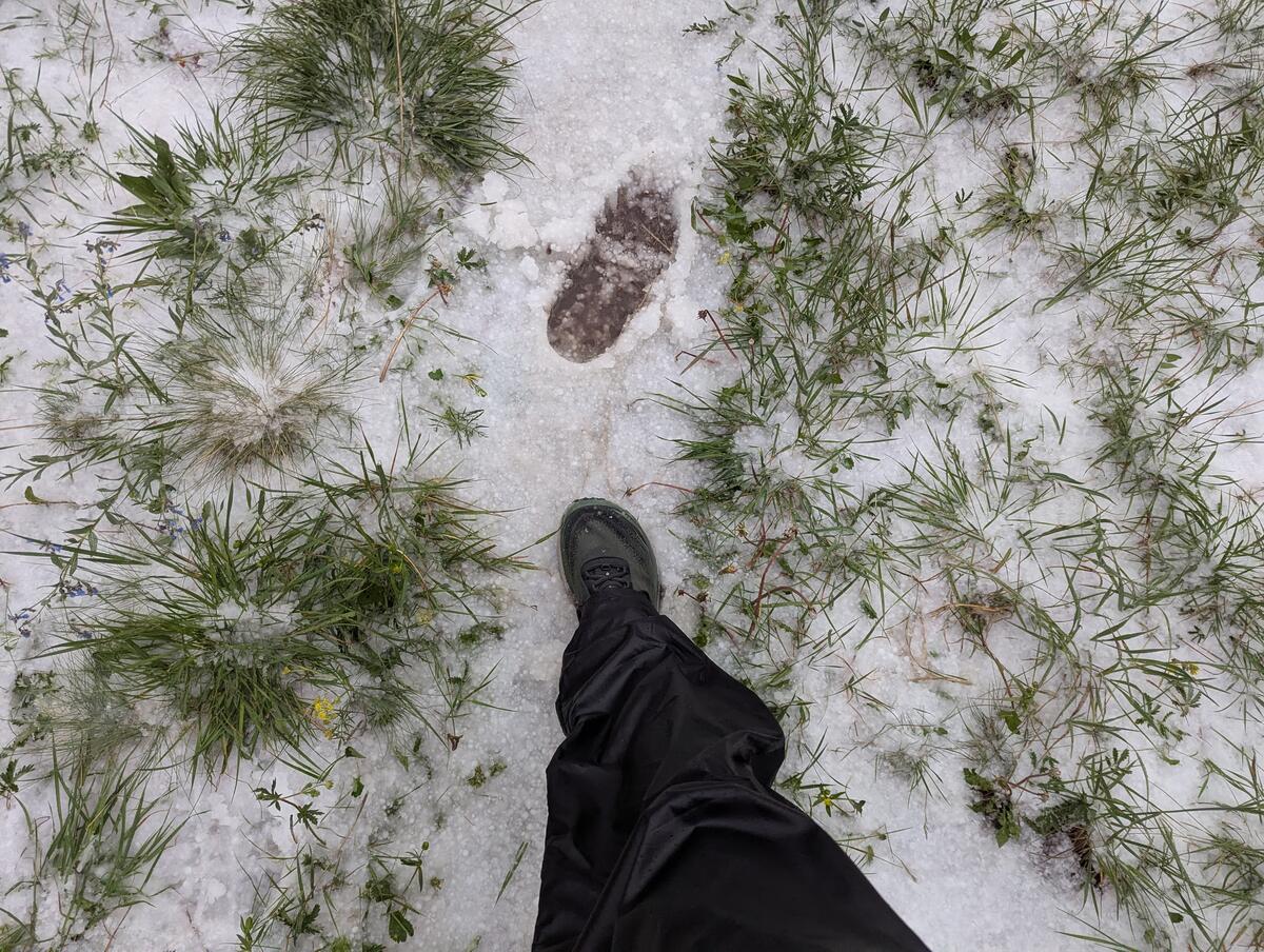 A couple inches of hail on the ground after a major hailstorm on day 2