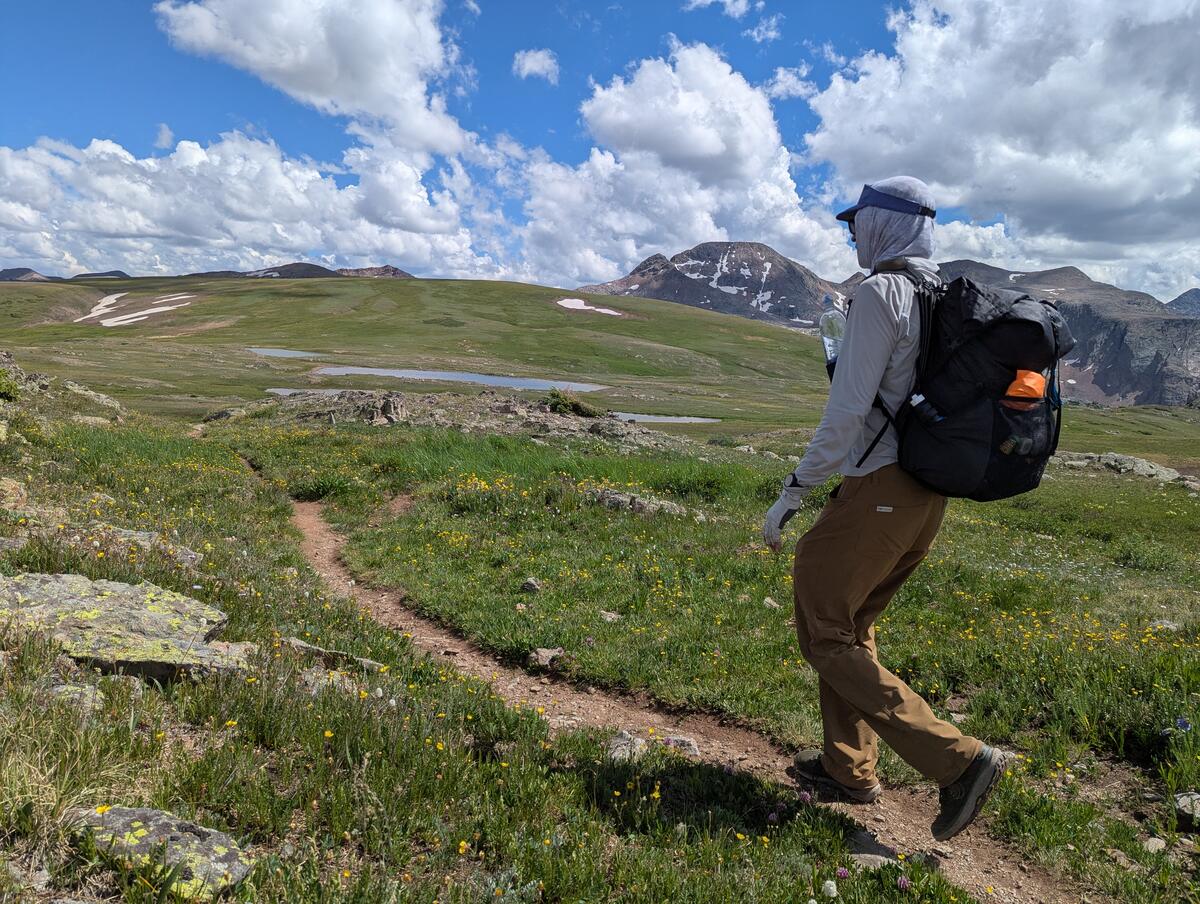 In the San Juans